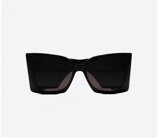 SAINT LAURENT(M119/F）