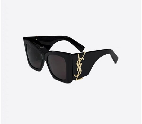 SAINT LAURENT(M119/F）